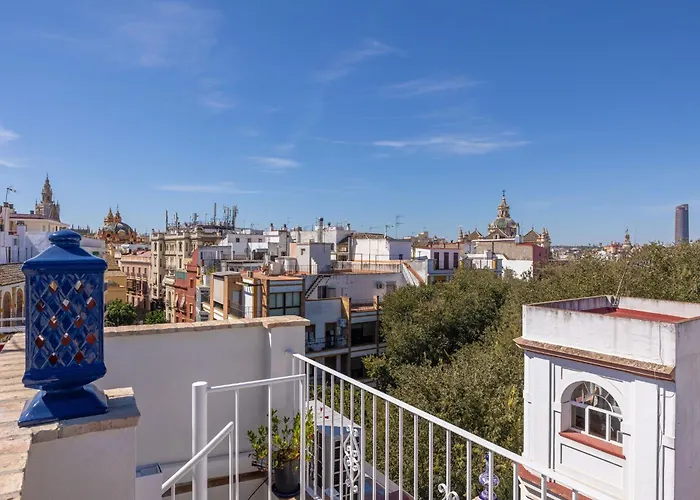 Ohliving Alfalfa Square Sevilla